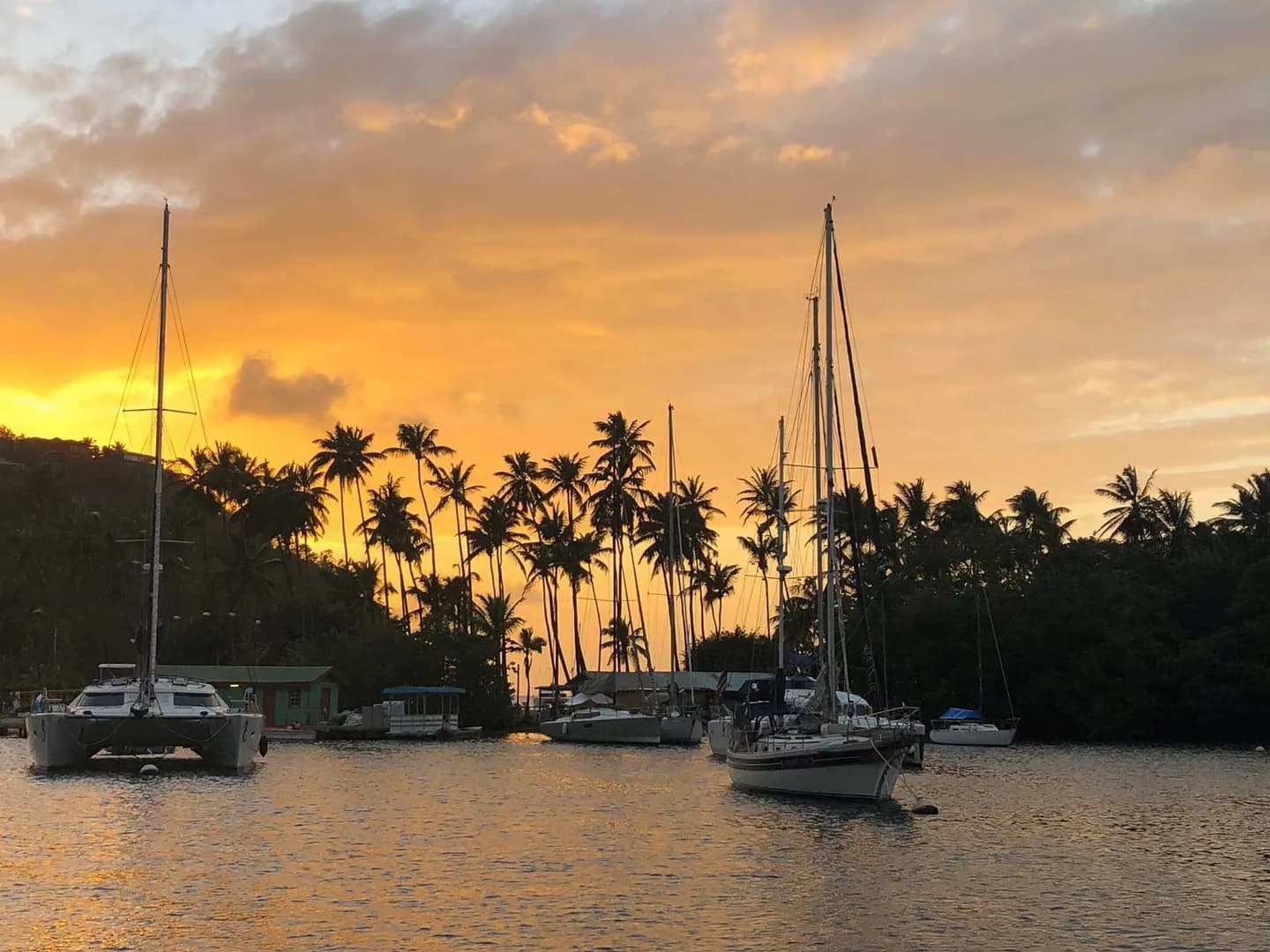 Noël et Nouvel An à bord d’un voilier aux Antilles : célébrer les fêtes autrement